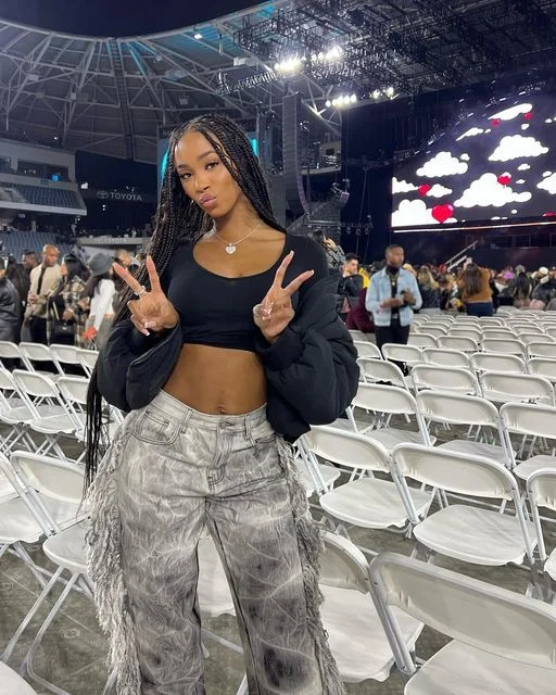 What to Wear to an Aventura Concert: 21 Best Aventura Concert Outfits for Women